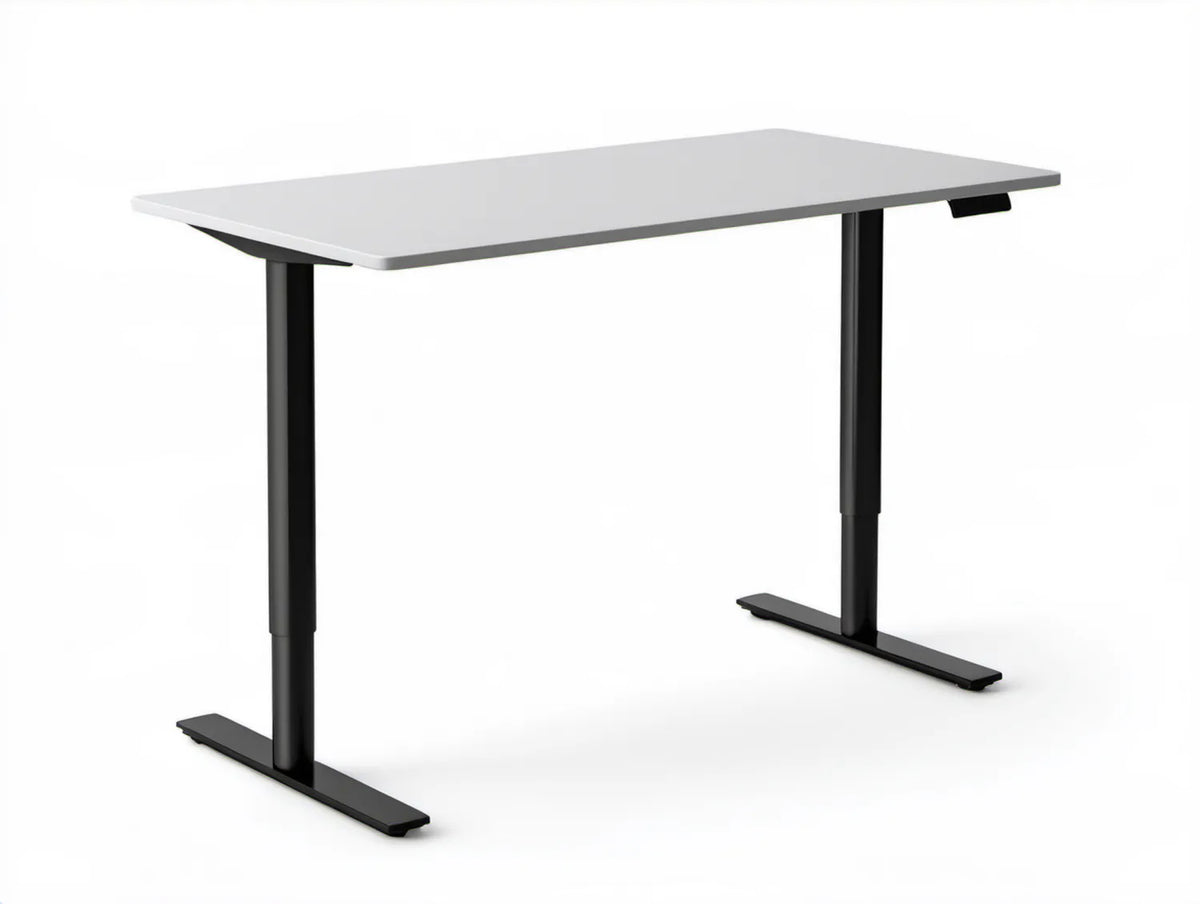 Elektrycznie regulowane biurko 120 x 60 cm, wysokość 72–120 cm, biało-czarne